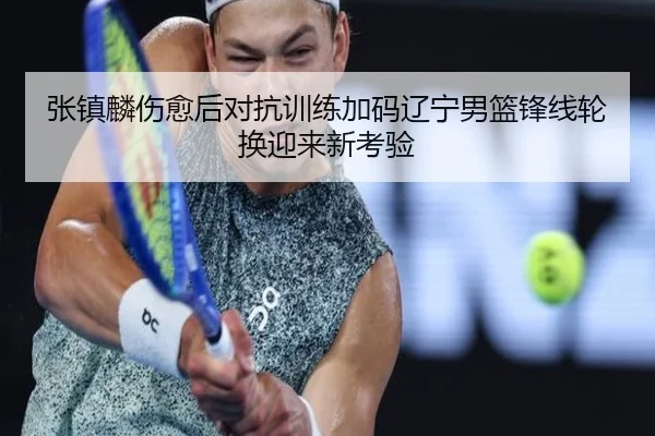 张镇麟伤愈后对抗训练加码辽宁男篮锋线轮换迎来新考验 | aiyouxi